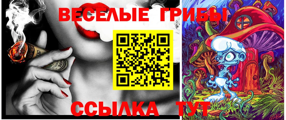 Псилоцибиновые грибы Psilocybe  Вход с VPN  Рязань 